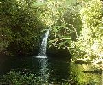 Atlantic Rainforest Atlantic Rainforest